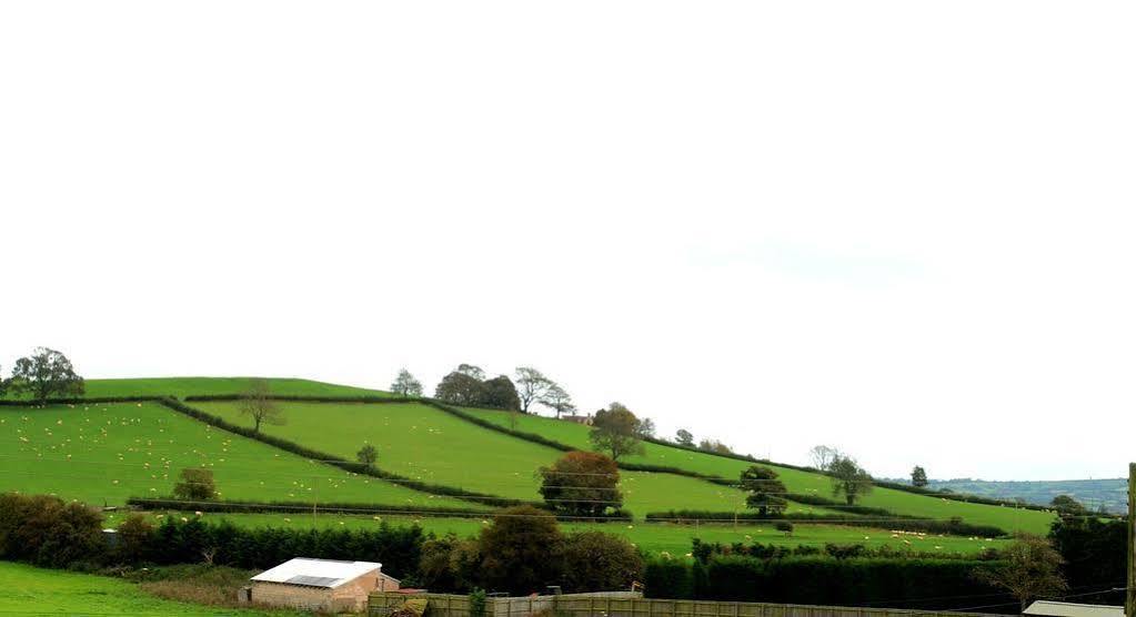 The Cannards Well Shepton Mallet Bagian luar foto